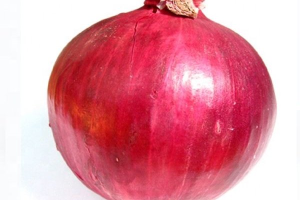 Kraken зеркало сегодня onion top