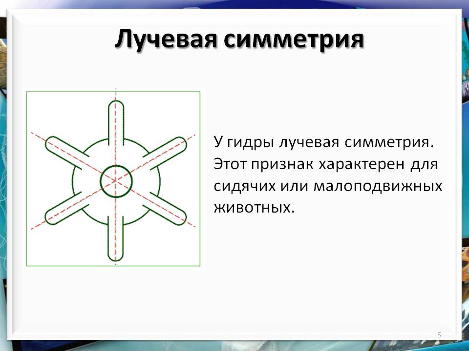 Значок кракена маркетплейса