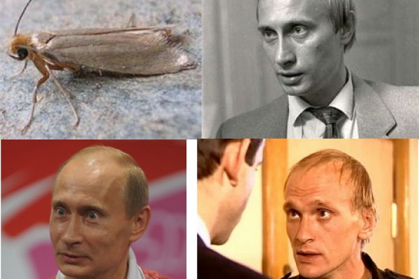 Кракен даркнет ссылка
