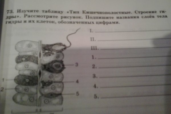 Кракен войти