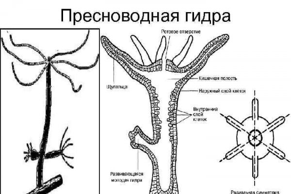 Kraken darknet ссылка тор